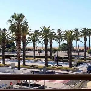 Palm *